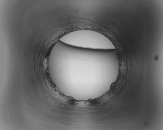 X0000116000621200911191215