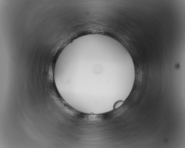 X0000116000622200911191215