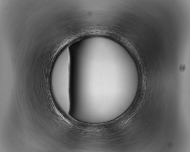 X0000116000625200911191214