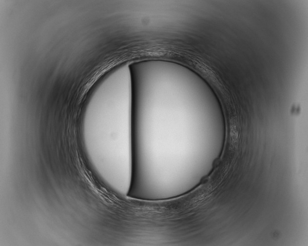 X0000116000626200911191214