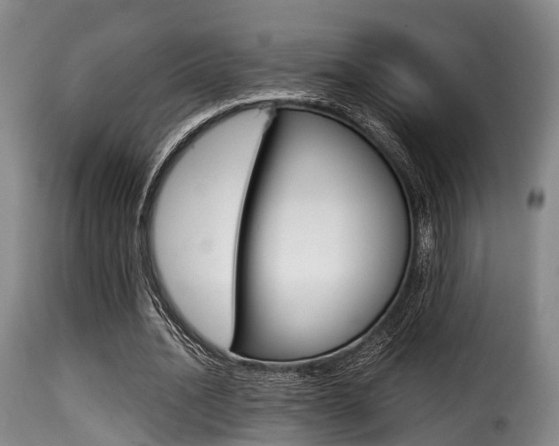 X0000116000628200911191214