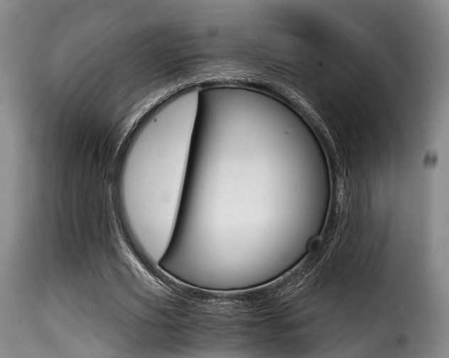 X0000116000629200911191214