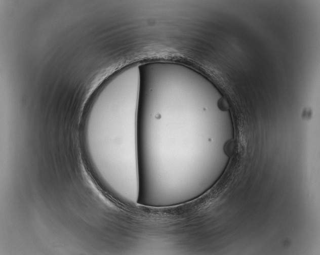 X0000116000630200911191214