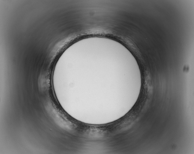 X0000116000632200911191214