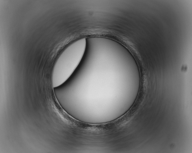 X0000116000633200911191215