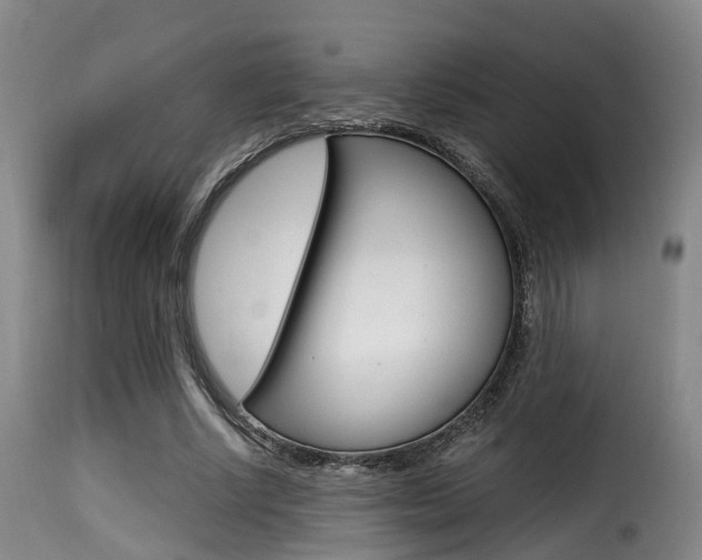 X0000116000634200911191215