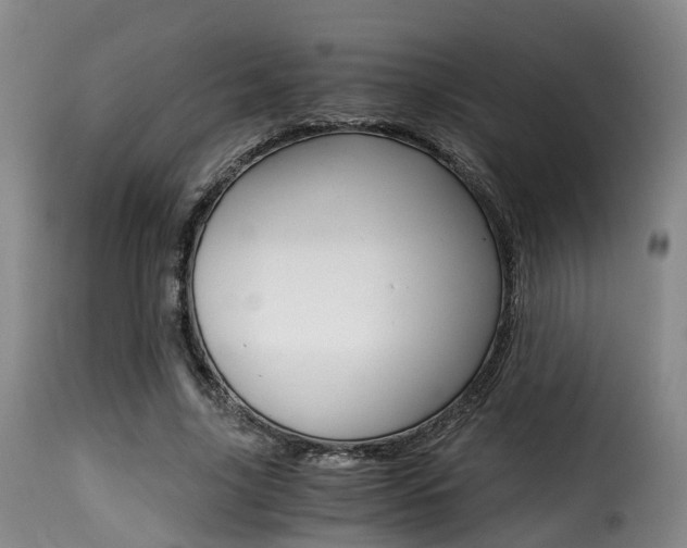 X0000116000635200911191215