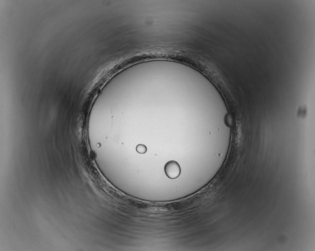 X0000116000636200911191215