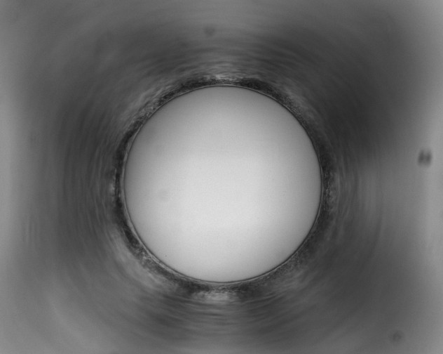 X0000116000639200911191215