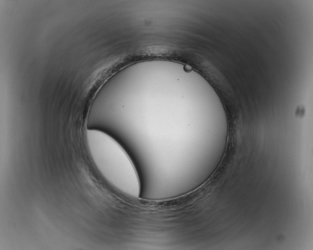 X0000116000640200911191215