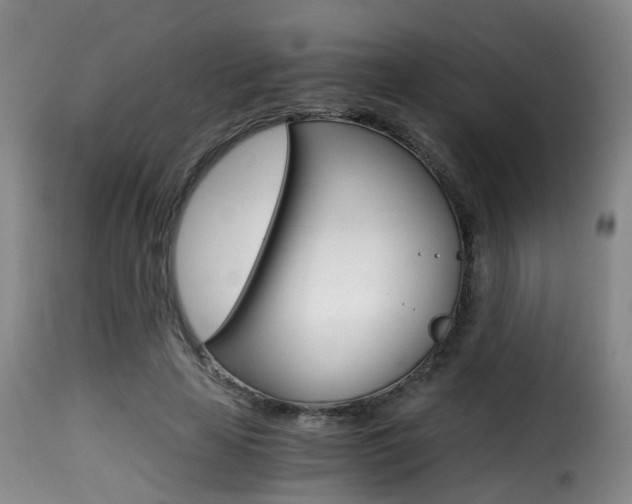 X0000116000641200911191215