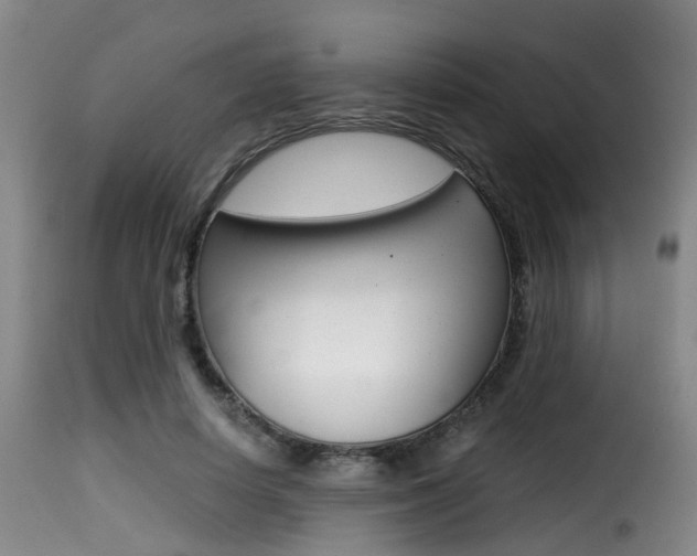 X0000116000642200911191215