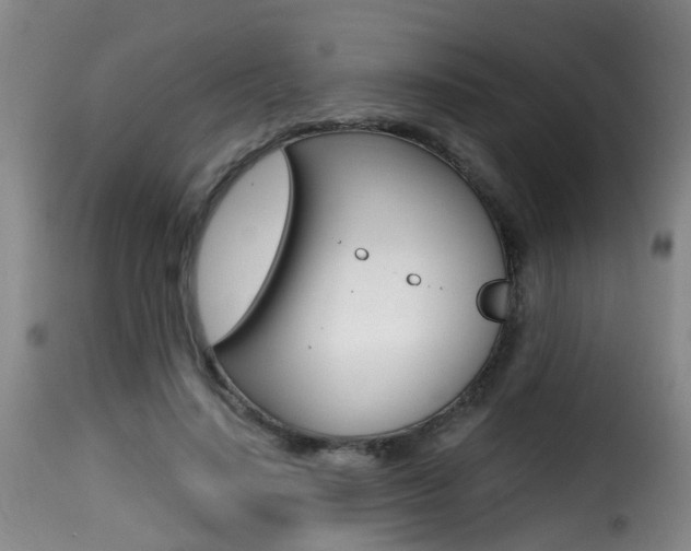 X0000116000644200911191215