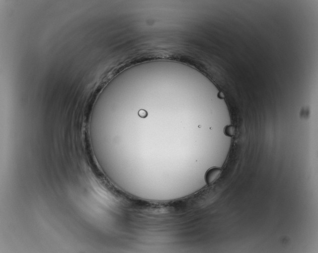 X0000116000646200911191215