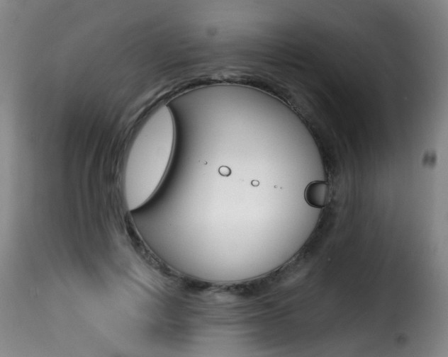 X0000116000648200911191215