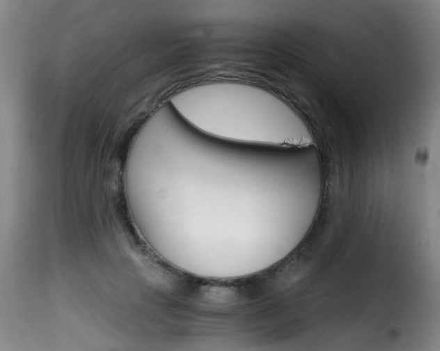 X0000116000649200911191215