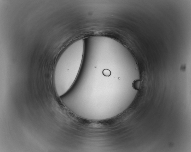 X0000116000650200911191215