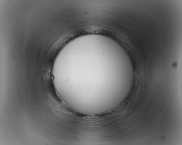 X0000116000652200911191215