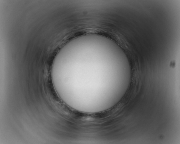 X0000116000655200911191215