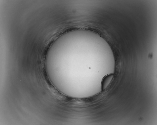 X0000116000658200911191215