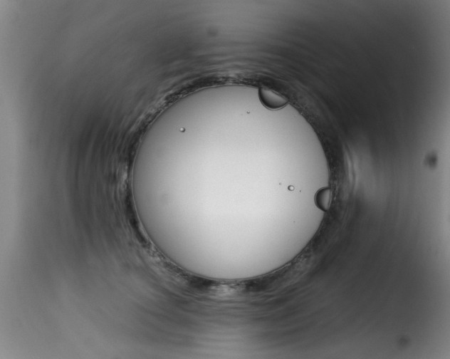 X0000116000660200911191215