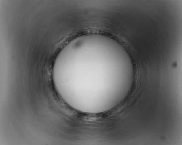 X0000116000661200911191215