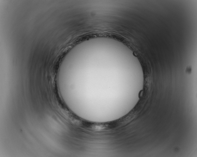 X0000116000662200911191215