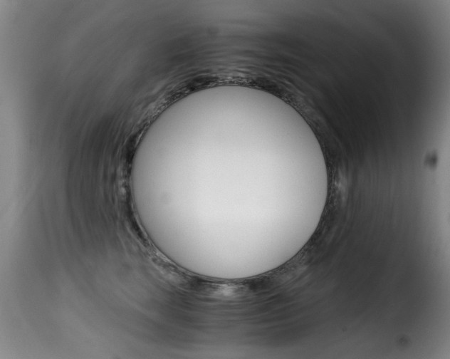 X0000116000663200911191215