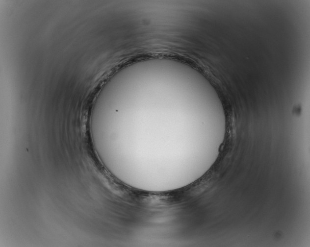 X0000116000664200911191215