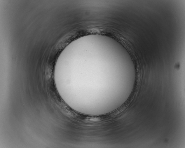 X0000116000665200911191215