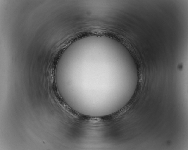 X0000116000666200911191215