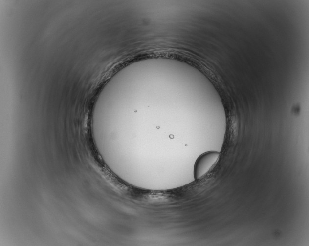 X0000116000668200911191215