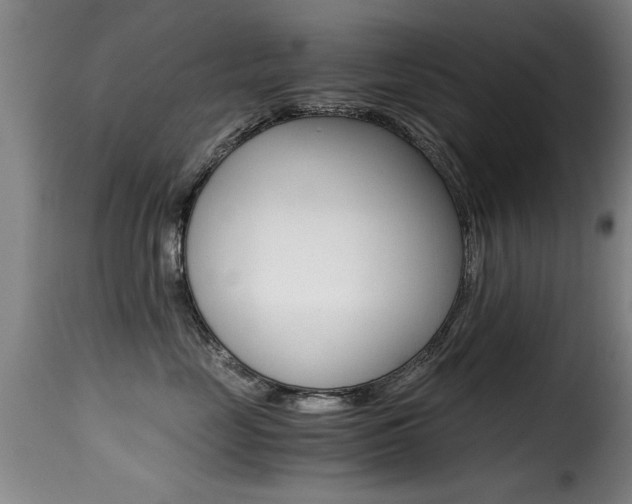 X0000116000669200911191215