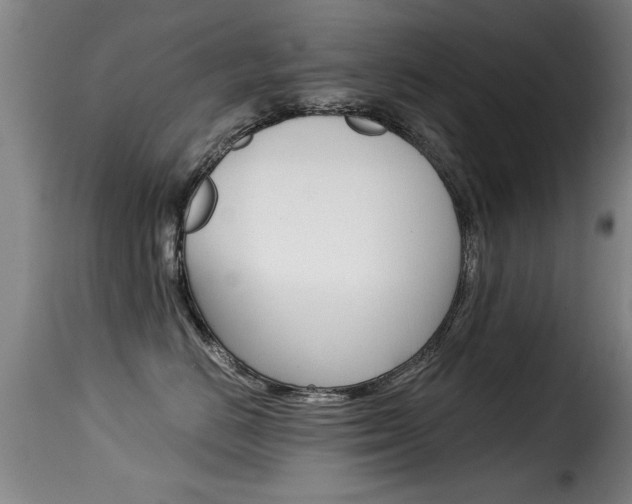 X0000116000670200911191215