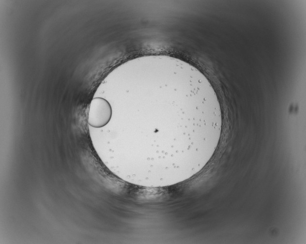 X0000116000672200911191215