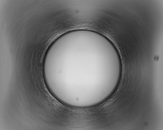 X0000116000673200911191214