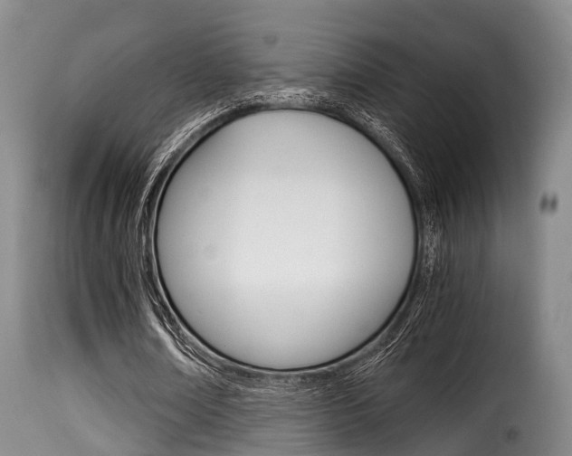 X0000116000674200911191214