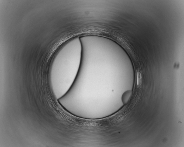 X0000116000675200911191214