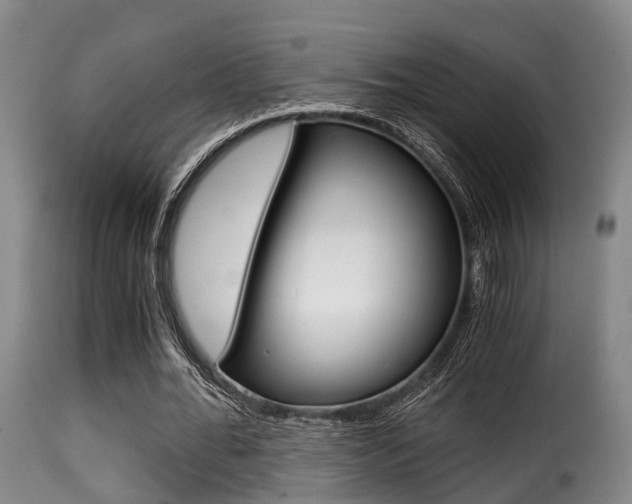 X0000116000676200911191214