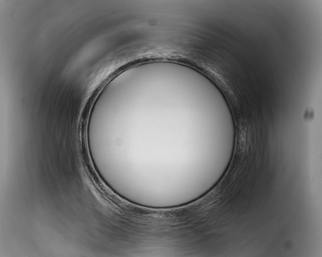 X0000116000678200911191214