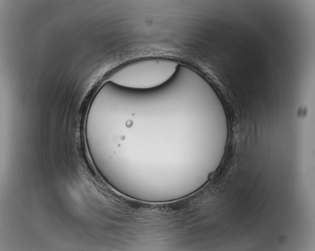 X0000116000679200911191214