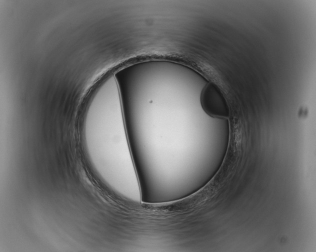 X0000116000680200911191214