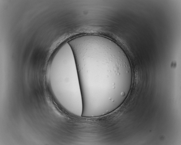 X0000116000682200911191214