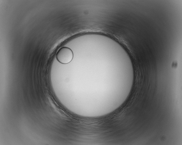 X0000116000684200911191214