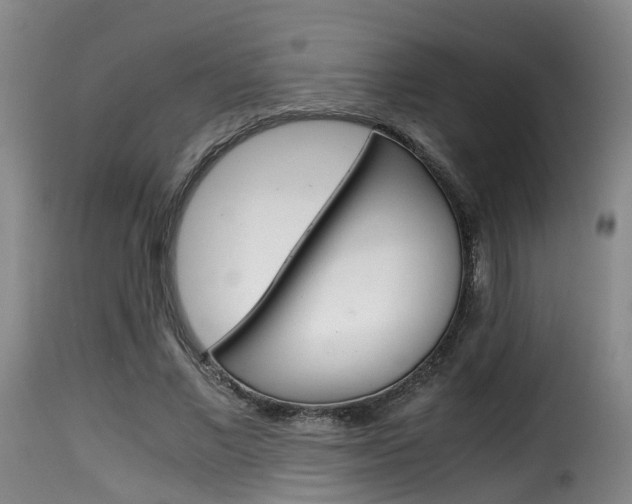 X0000116000685200911191214