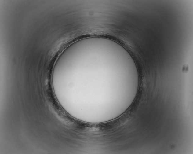 X0000116000687200911191214