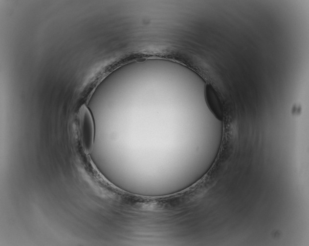 X0000116000688200911191214