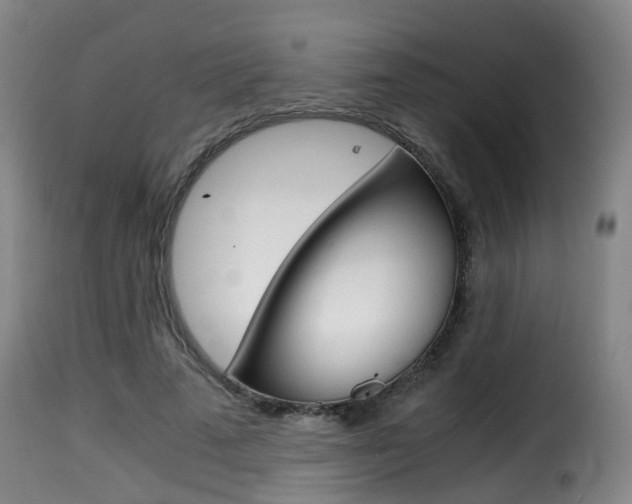 X0000116000689200911191214