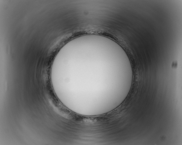 X0000116000690200911191214