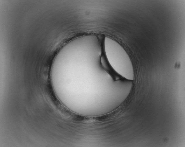 X0000116000695200911191214